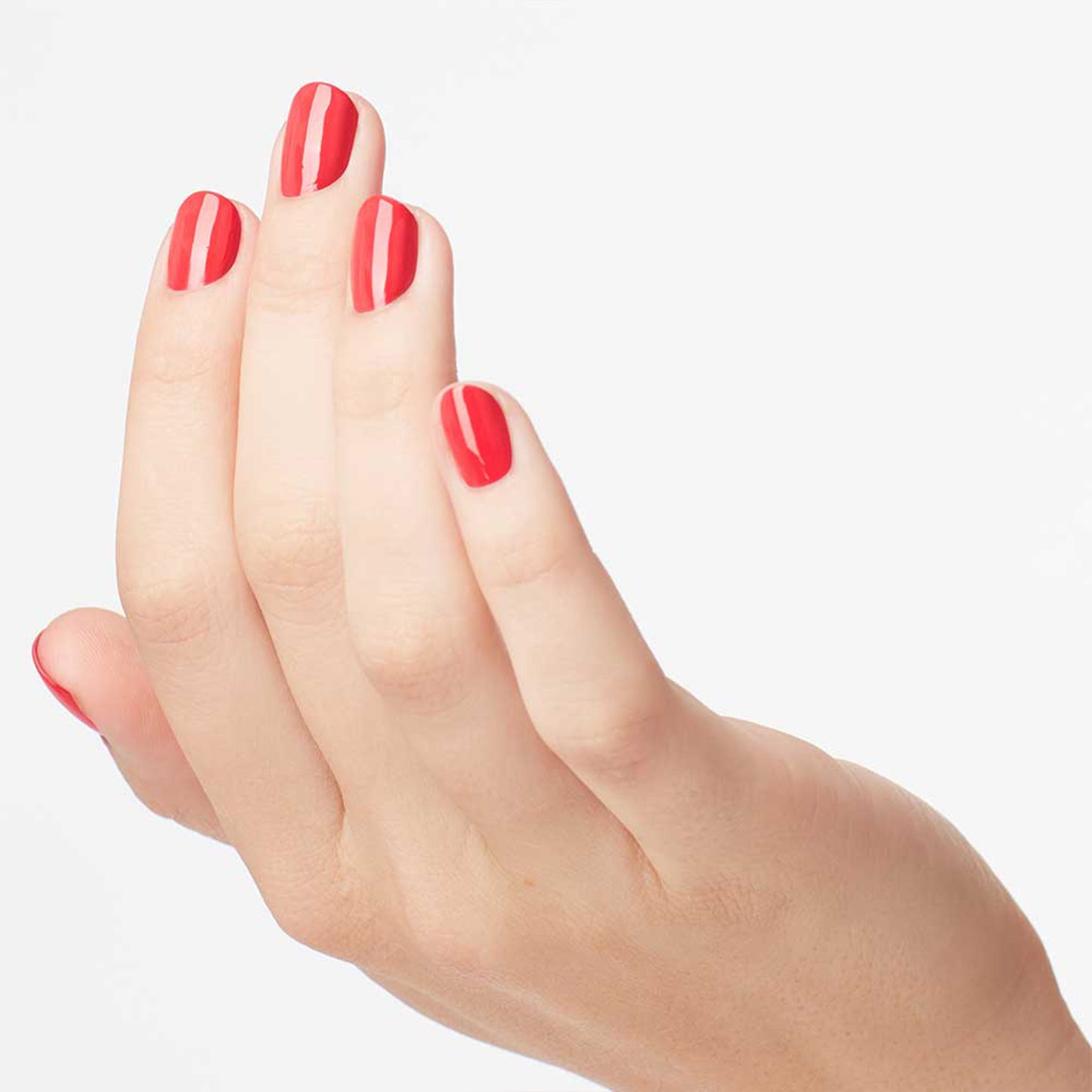 NLM21 My Chihuahua Bites! 15ml