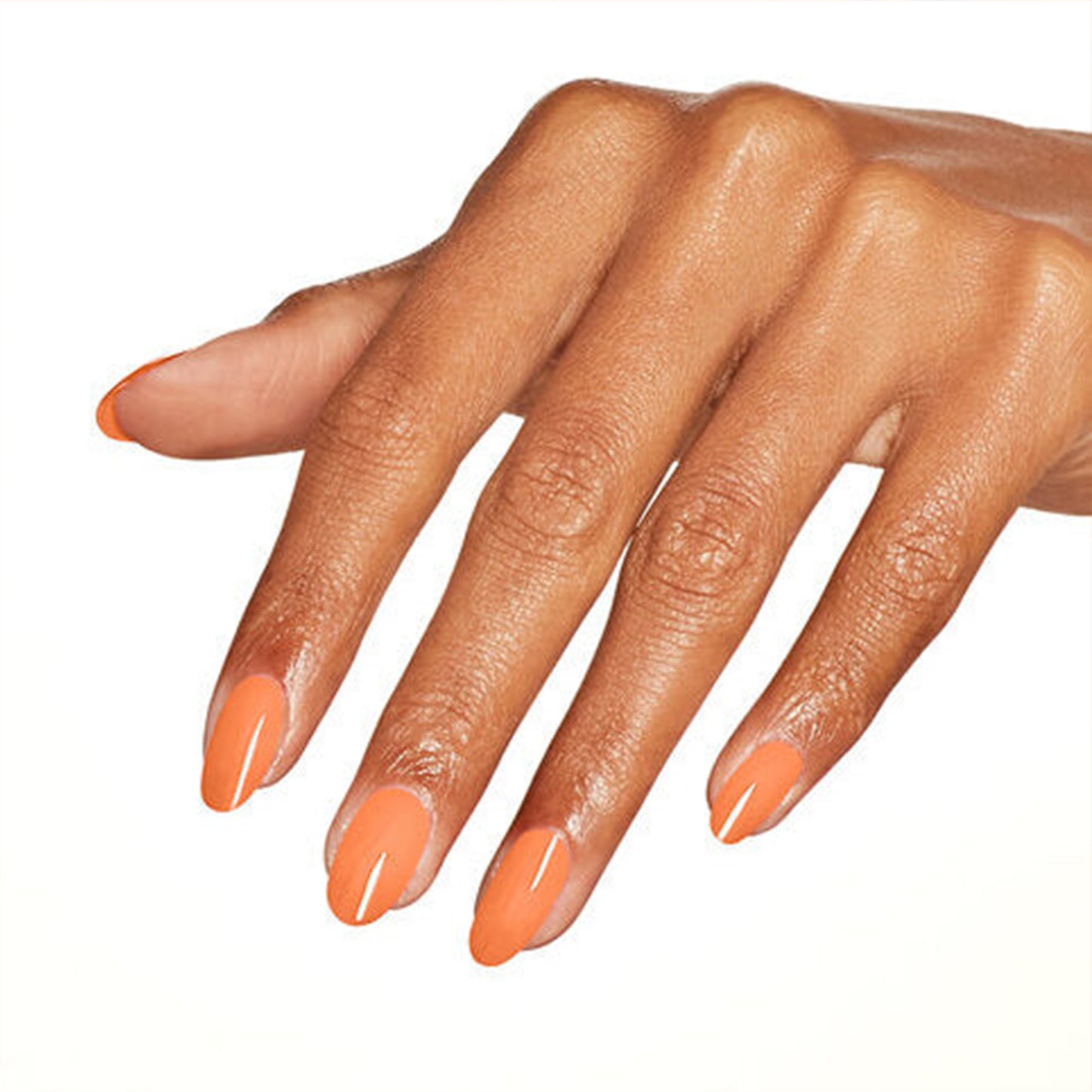 NLD54 Trading Paint 15ml